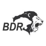 BDR Pharmaceuticals Internationals Pvt. Ltd.